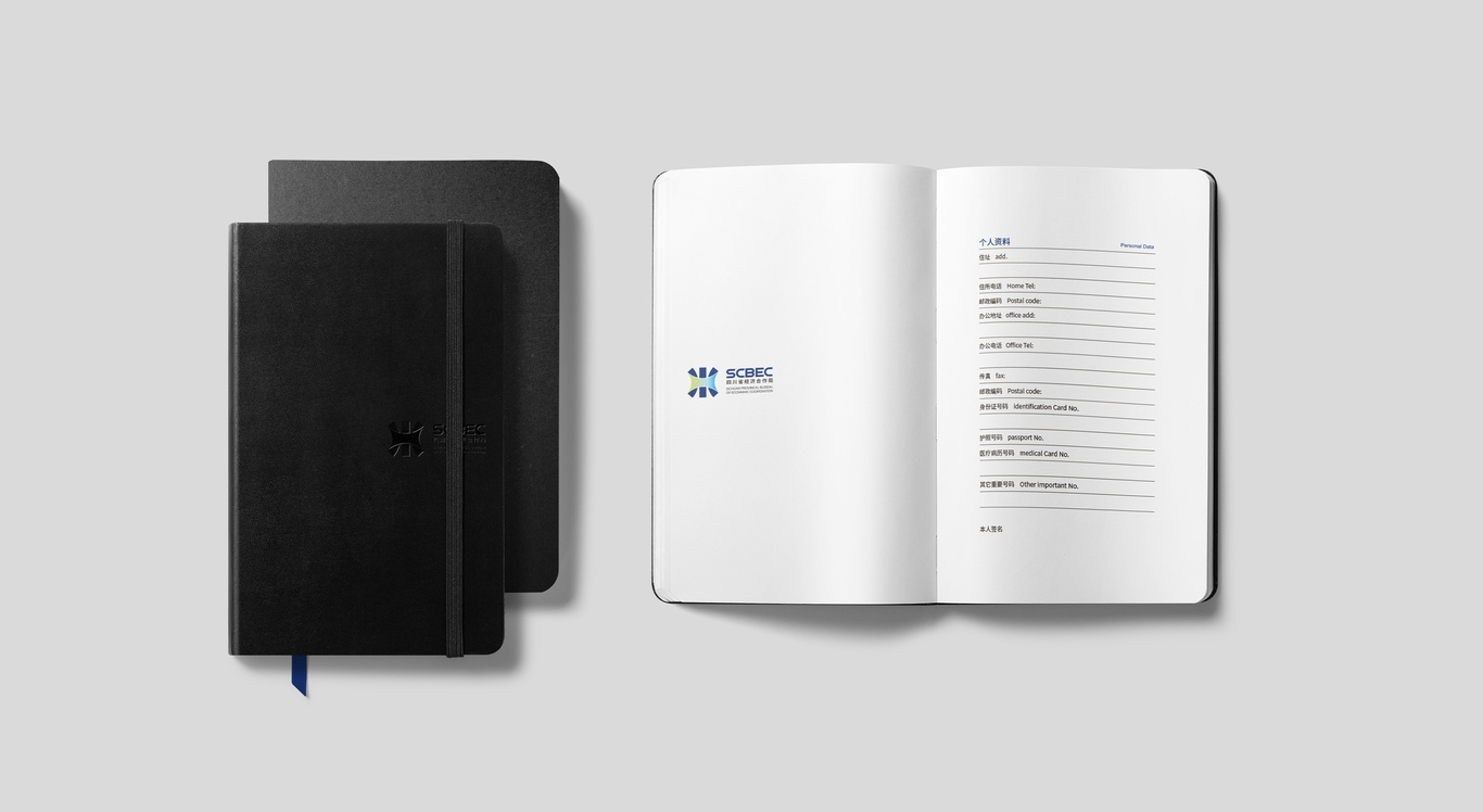 四川省经济合作局LOGO设计图13