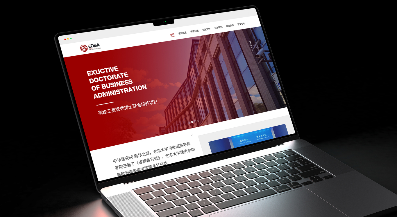 北京大学经济学院高级工商管理博士联合培养项目LOGO设计图8