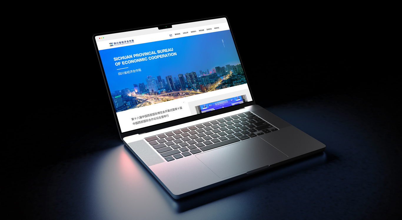 四川省经济合作局LOGO设计图9