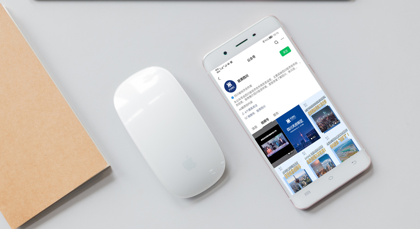 四川省经济合作局LOGO设计图10