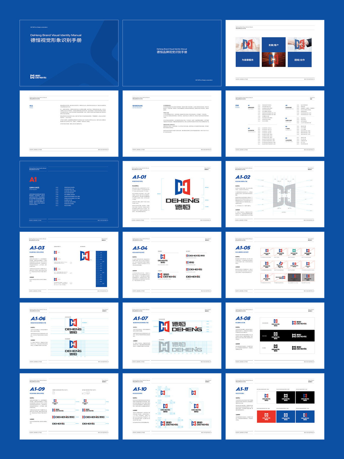 天津德恒医药科技品牌VI系统设计案例图0