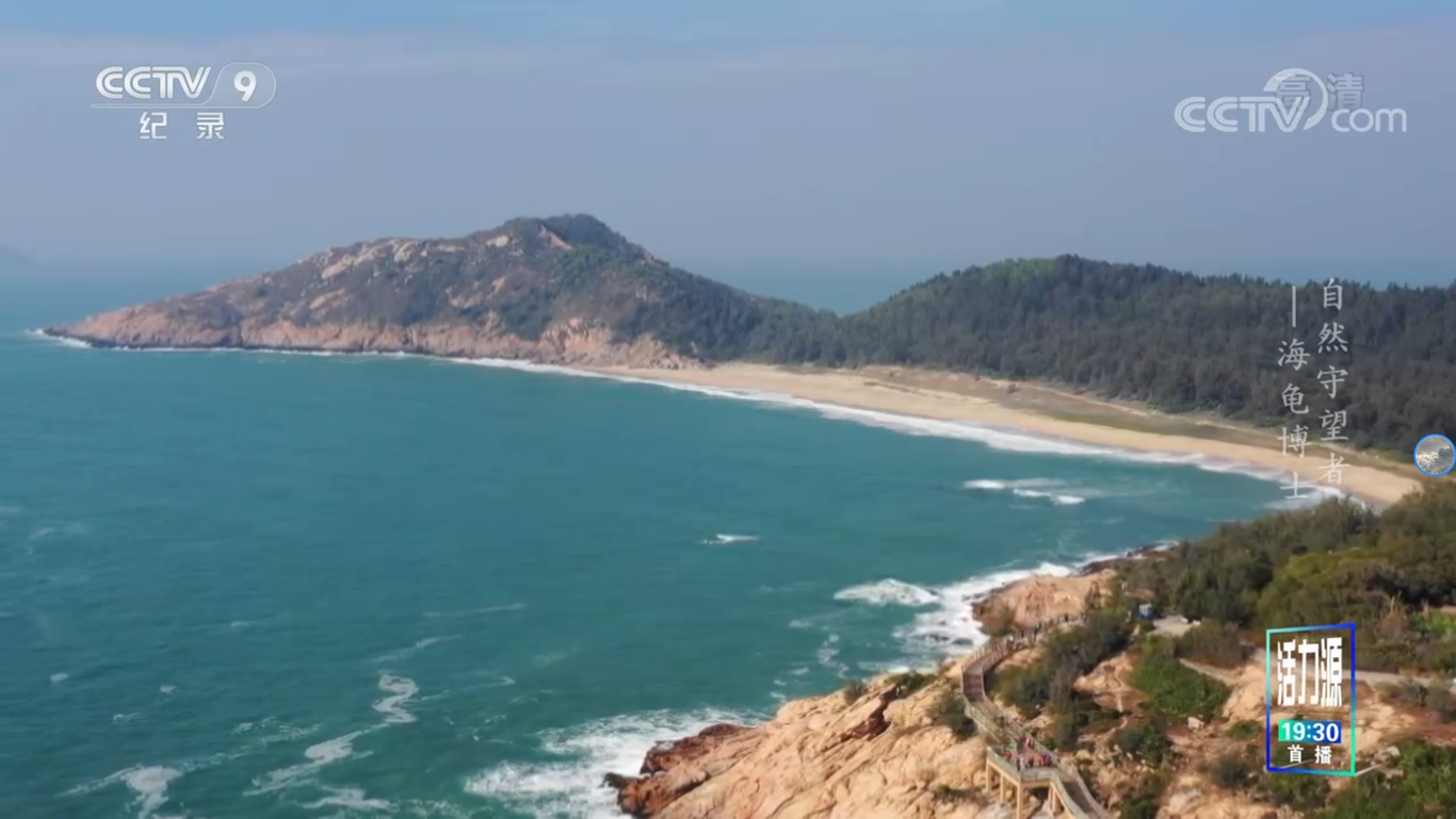 《海龟博士》图1