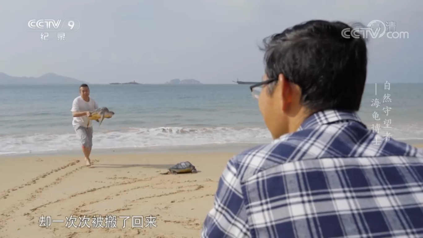 《海龟博士》图3