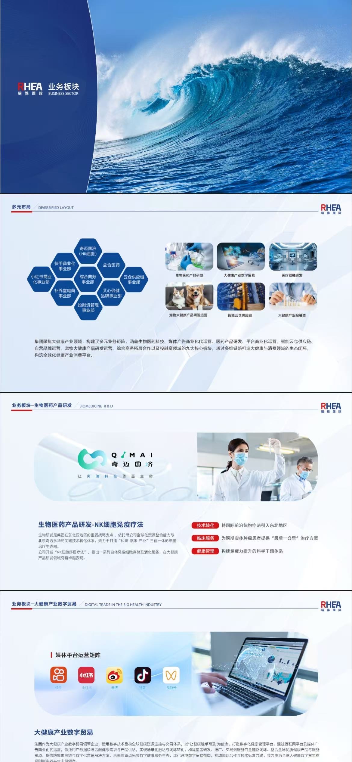 瑞雅国际画册设计图2