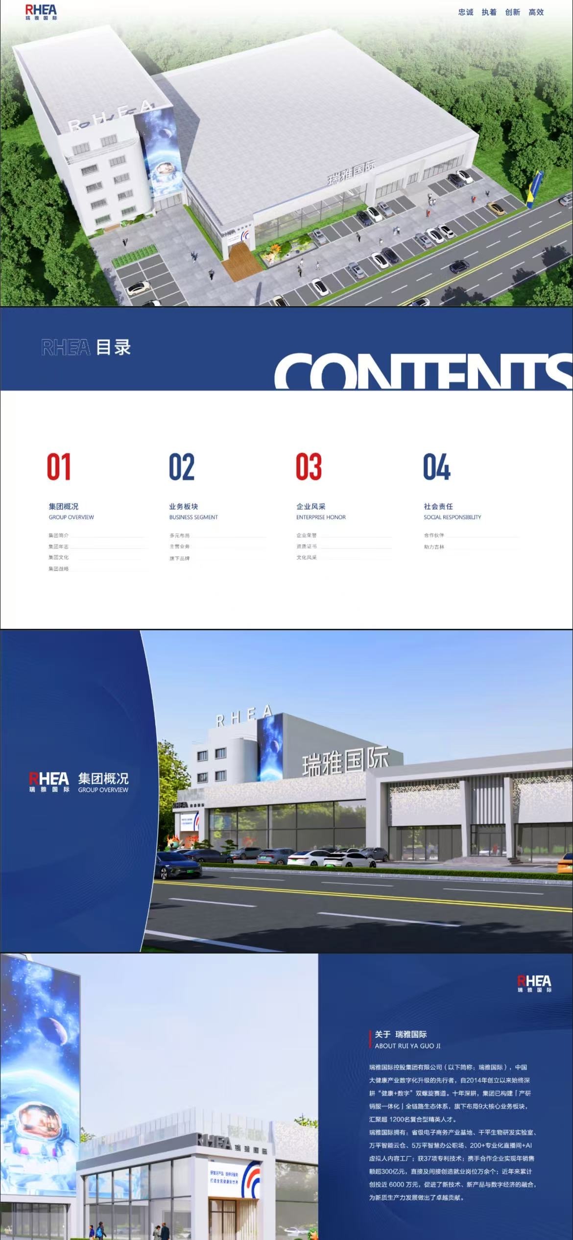 瑞雅国际画册设计图0