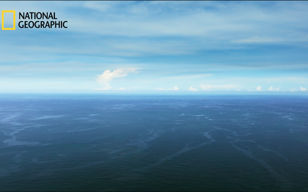 国家地理频道《来去海陆间》暨《雷声万物》国际版预告片制作