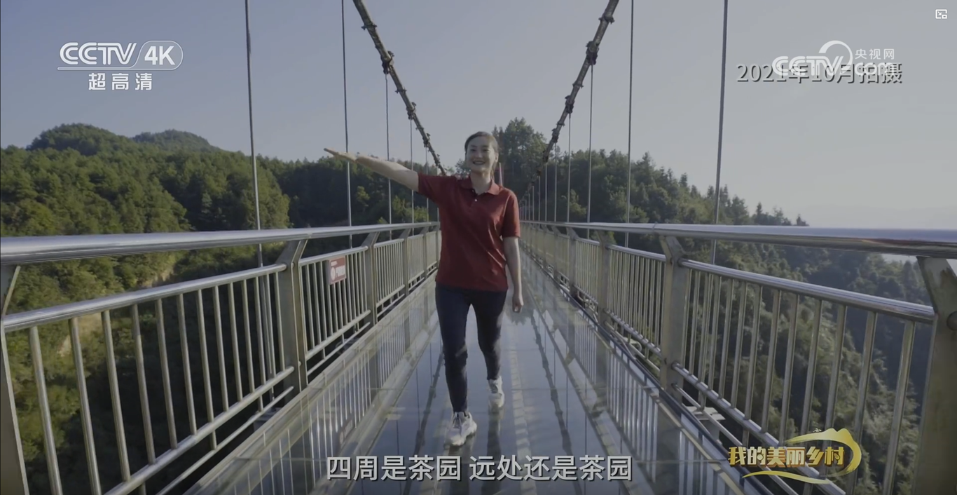 央视CCTV17纪录片《美丽茶乡田坝社》拍摄制作图0