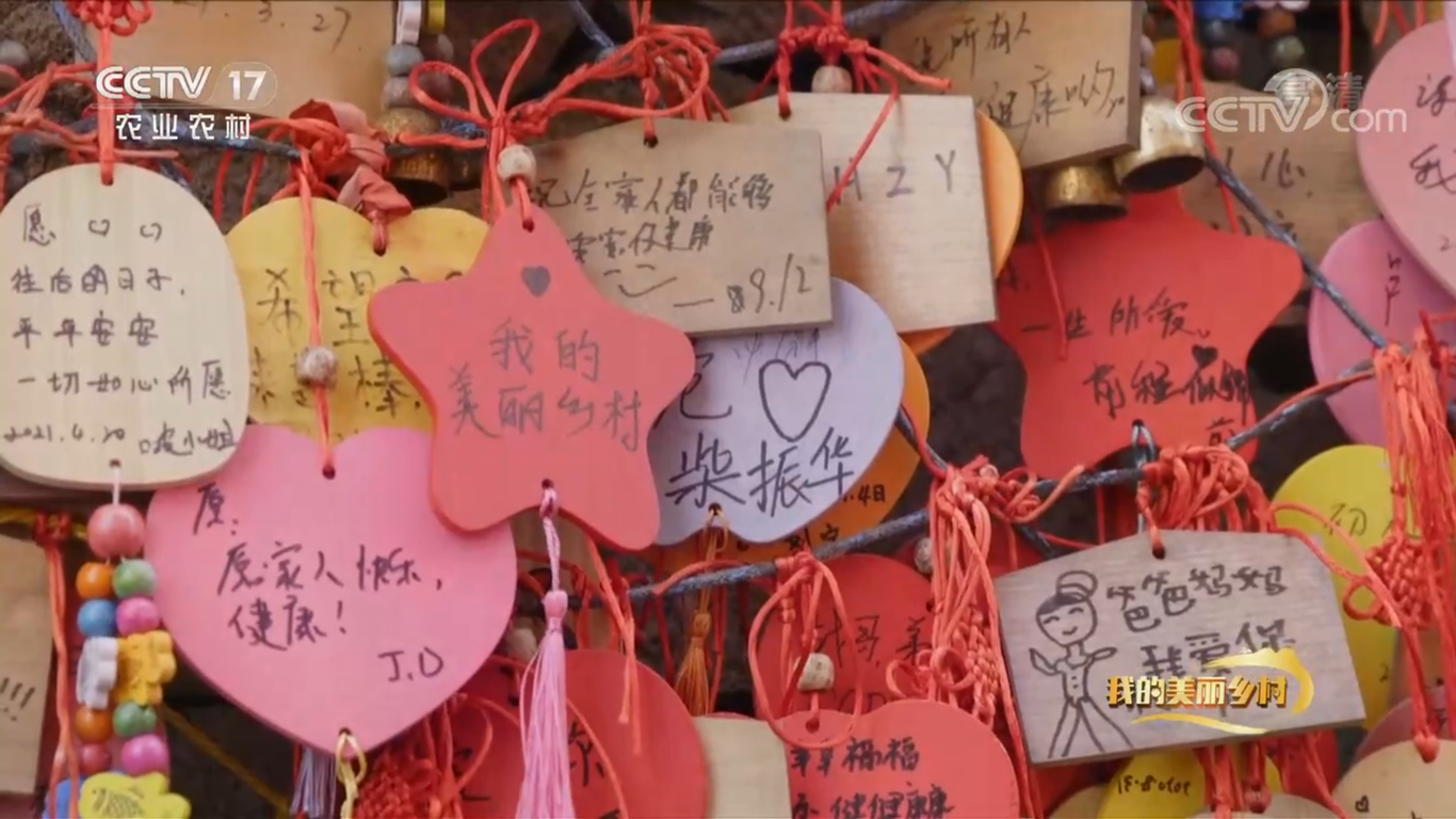 央视CCTV17纪录片《七彩小箬》拍摄制作图1