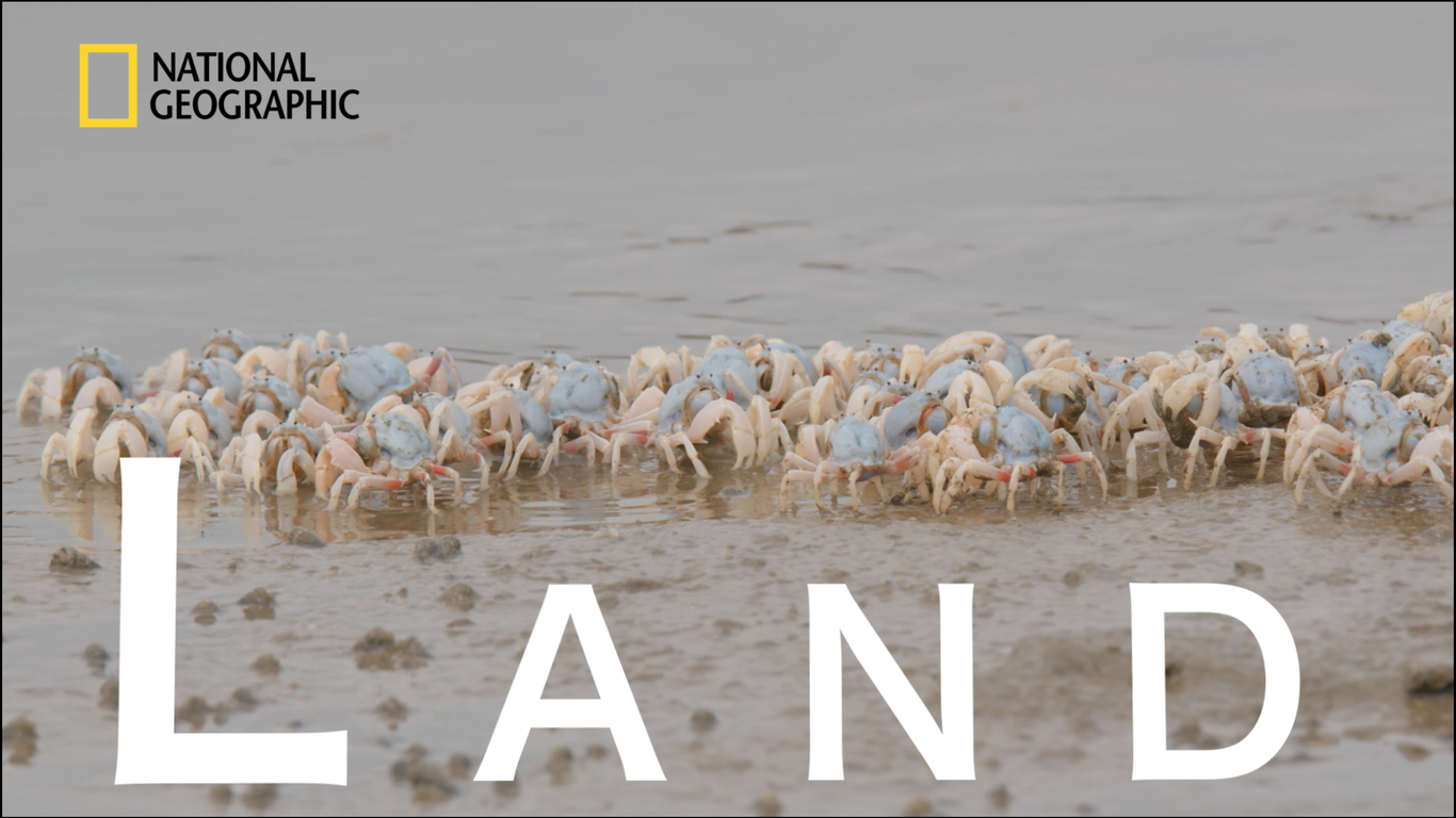 国家地理频道《来去海陆间》暨《雷声万物》国际版预告片制作图2