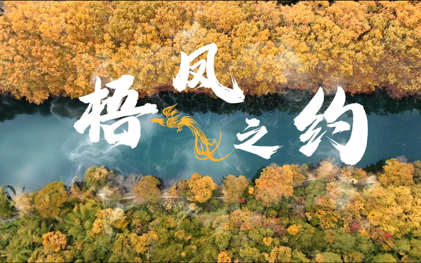 北京市榆垡镇2024年宣传片《梧凤之约》制作