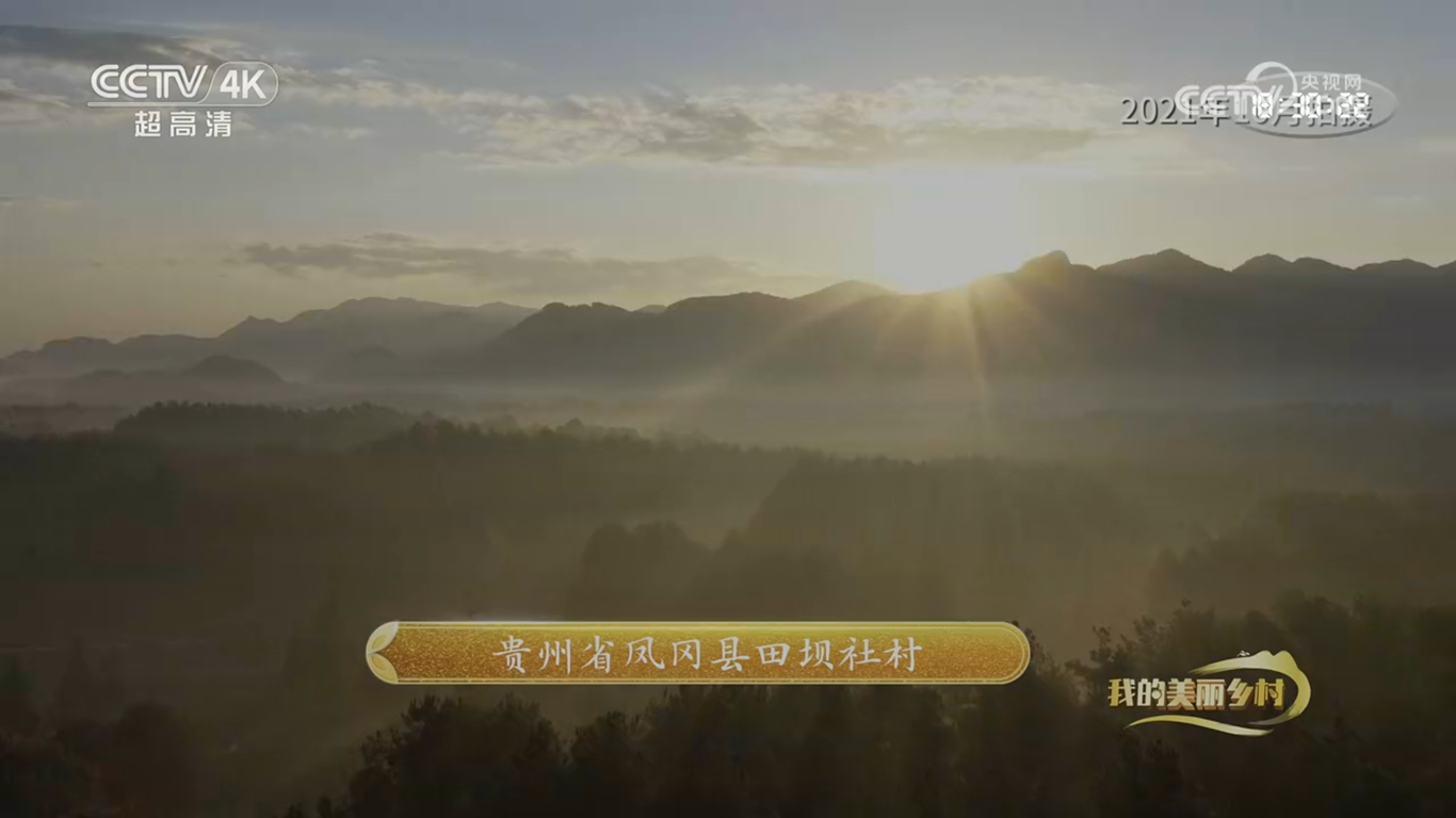 央视CCTV17纪录片《美丽茶乡田坝社》拍摄制作图6