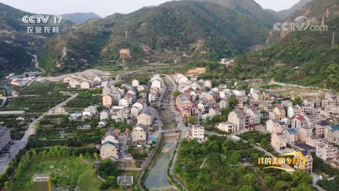 央视CCTV17纪录片《花溪村里喜事多》拍摄制作图4