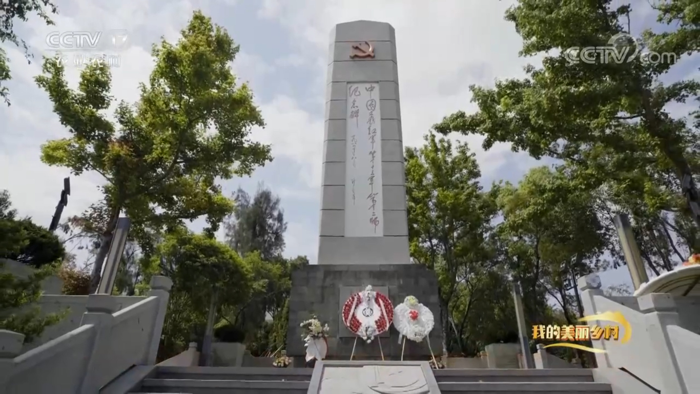 央视CCTV17纪录片《花溪村里喜事多》拍摄制作图1