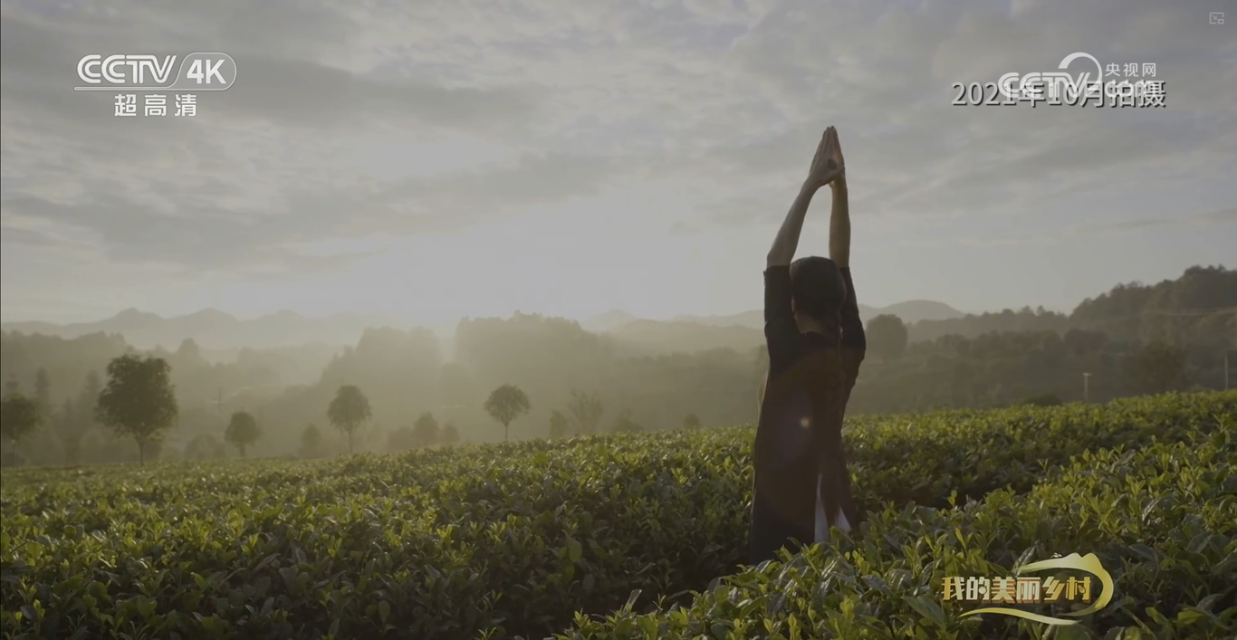 央视CCTV17纪录片《美丽茶乡田坝社》拍摄制作图1