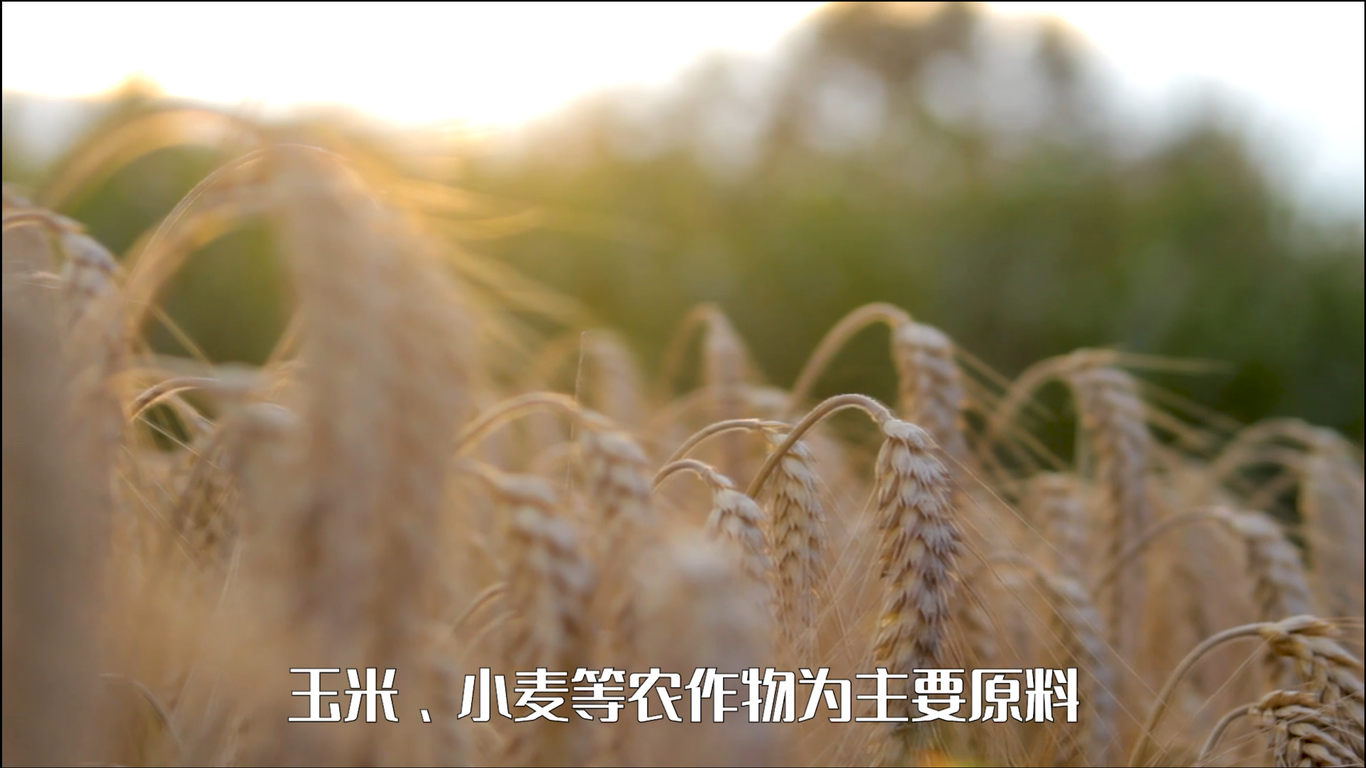 御香坊酒业2020年宣传片拍摄制作图0