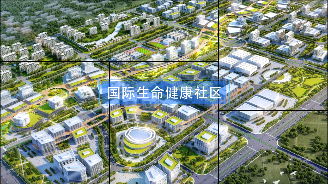 北京市榆垡镇2024年宣传片《梧凤之约》制作图0
