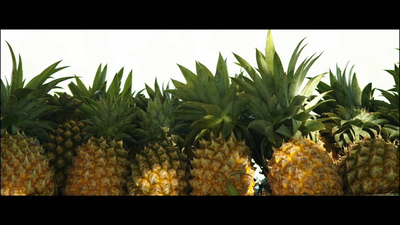 徐闻《大陆南极 海峡枢纽》城市宣传片拍摄制作图7