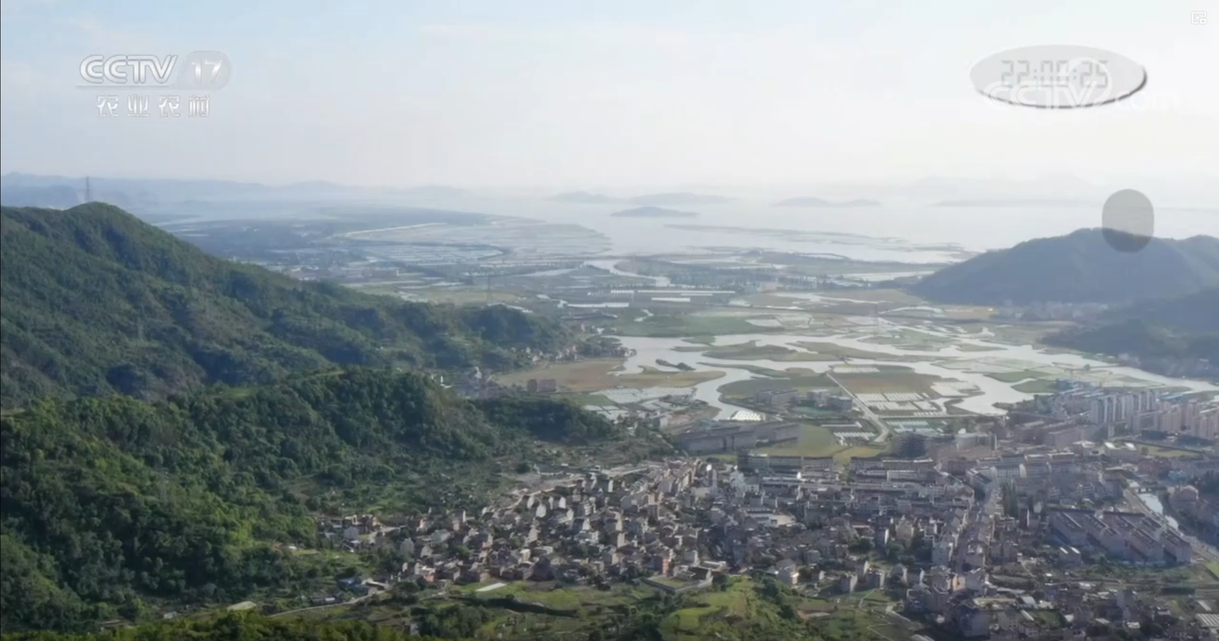 央视CCTV17纪录片《花溪村里喜事多》拍摄制作图5