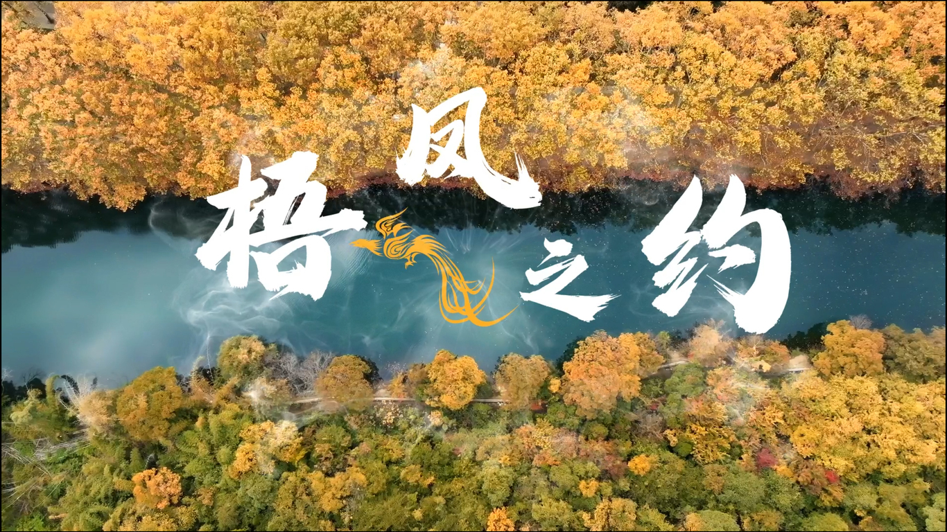 北京市榆垡镇2024年宣传片《梧凤之约》制作图7