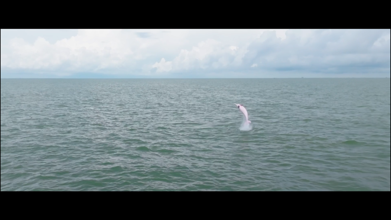 徐闻《大陆南极 海峡枢纽》城市宣传片拍摄制作图4