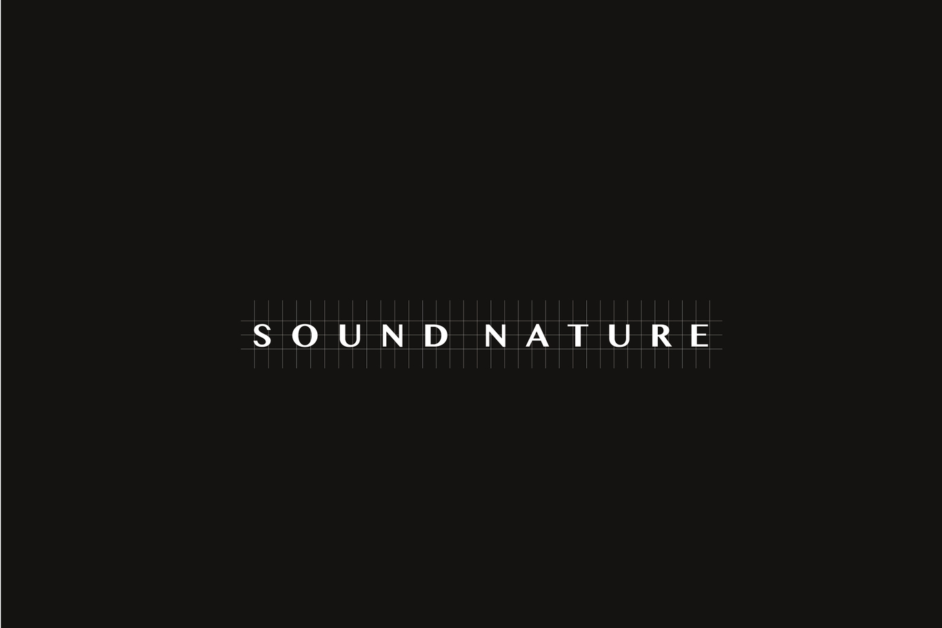 森纳音乐LOGO设计图2