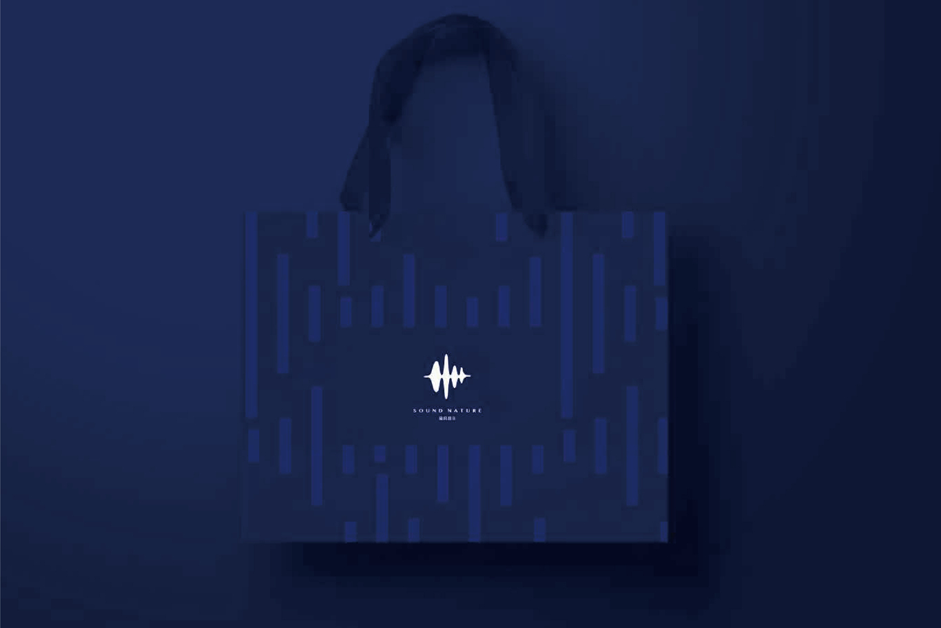 森纳音乐LOGO设计图17