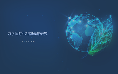 万孚国际化品牌战略研究