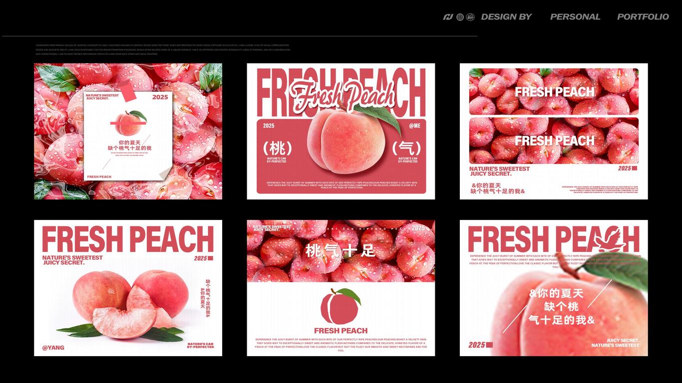 个人作品集图66