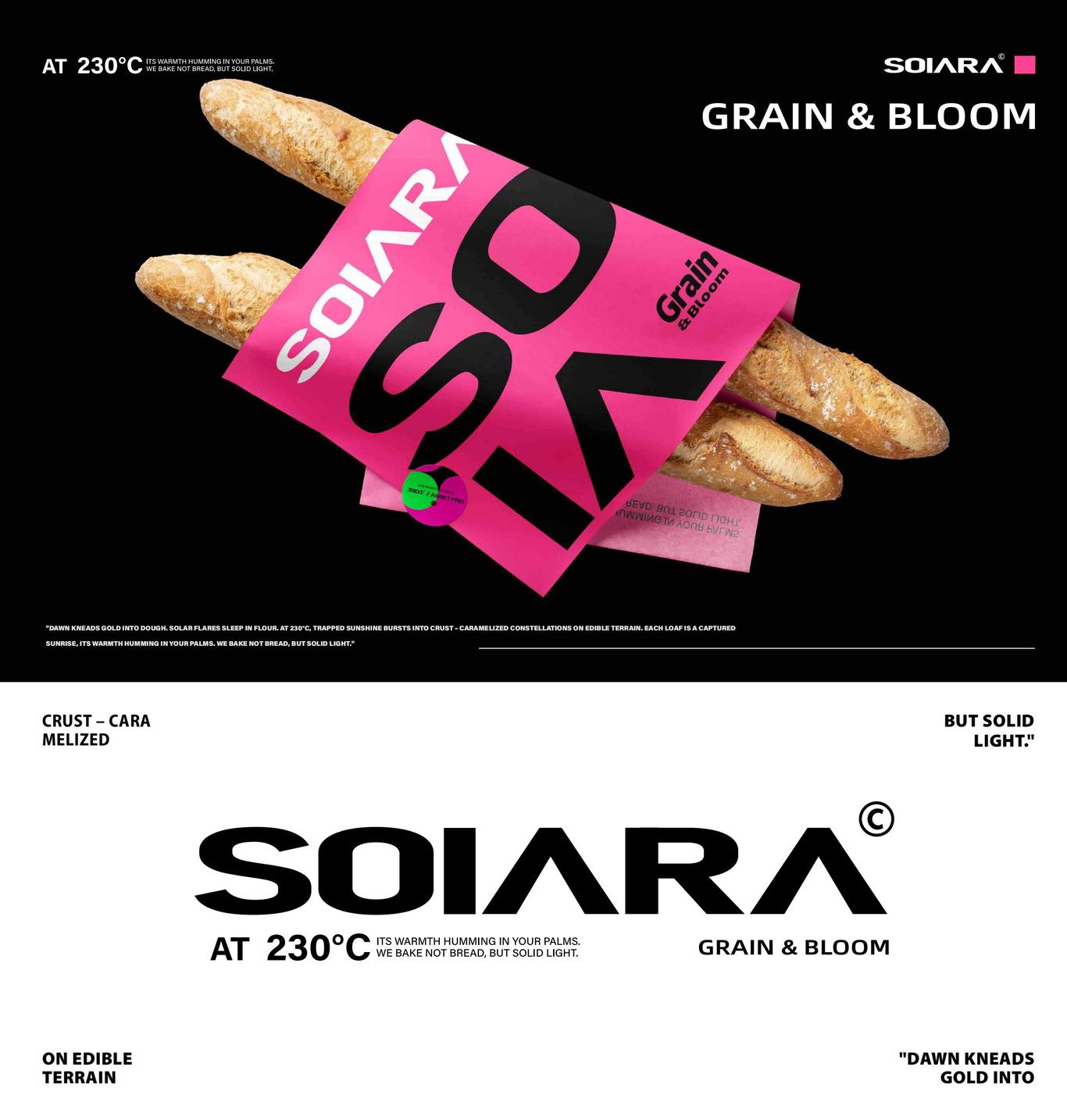 个人作品集图61