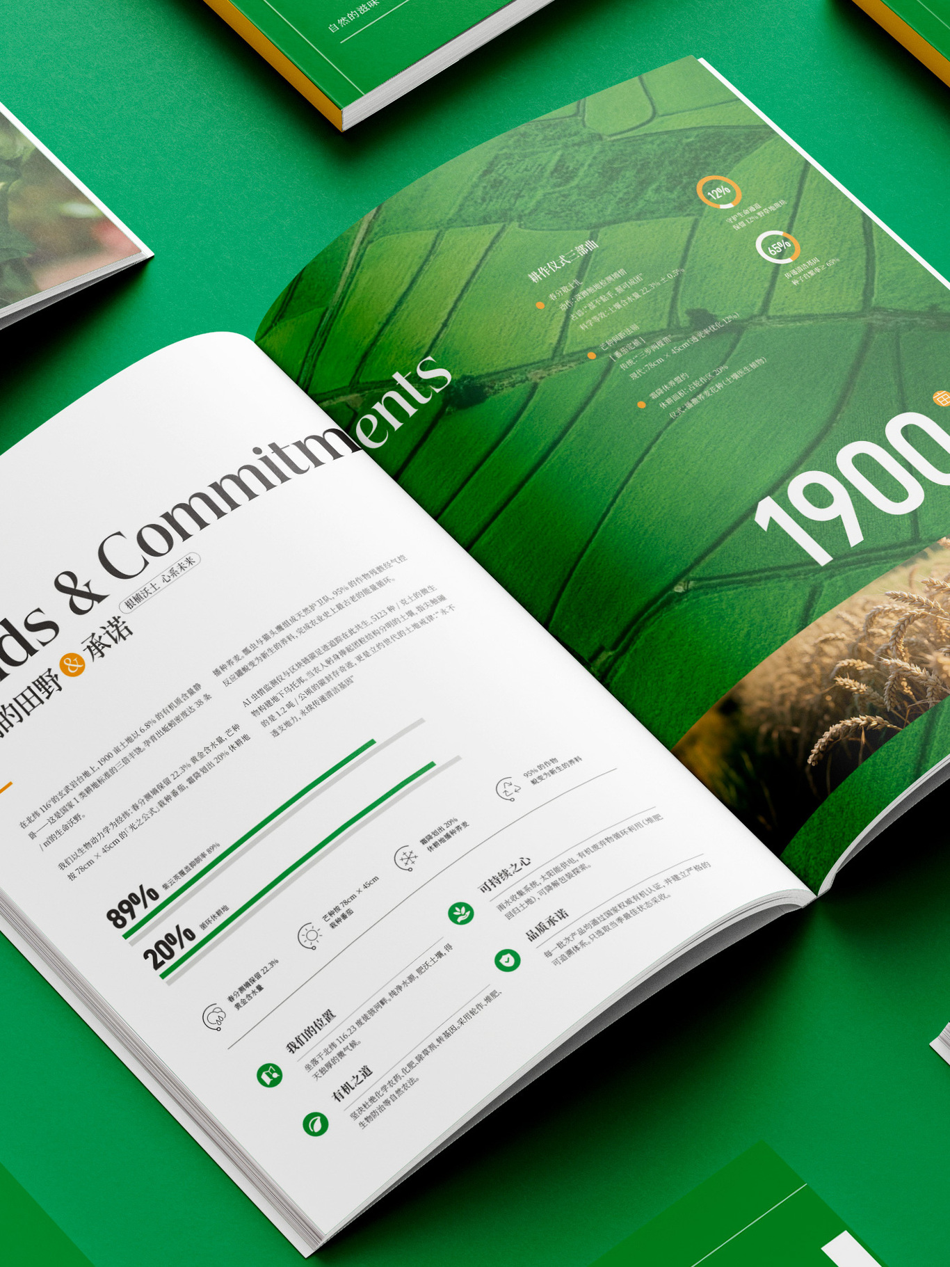 农业画册设计图8