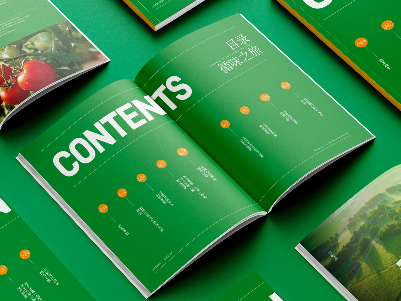 农业画册设计图5