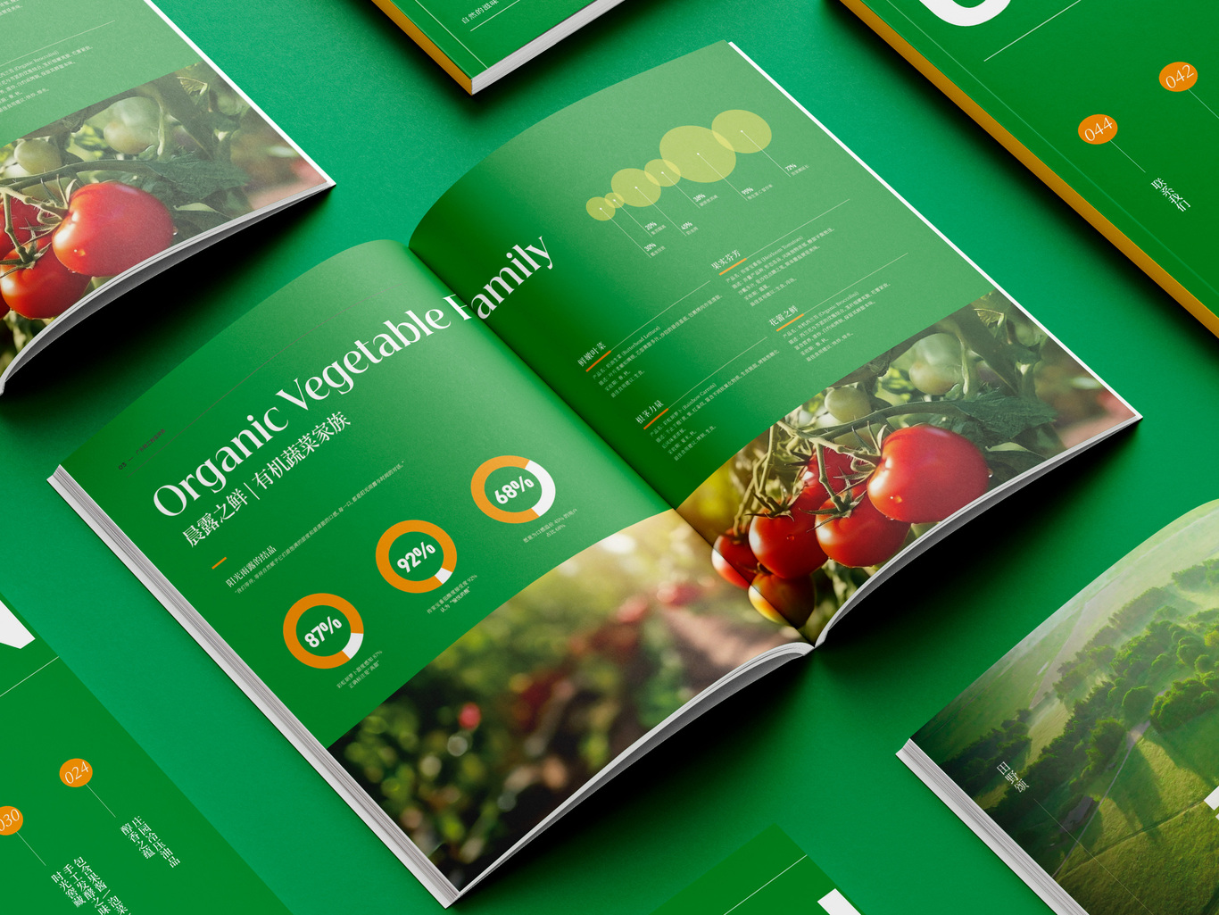 农业画册设计图7