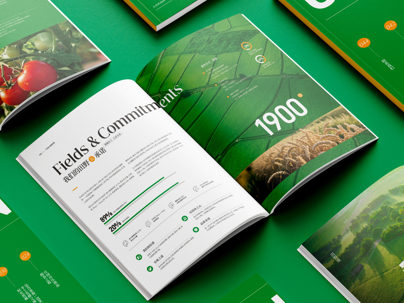 农业画册设计图6