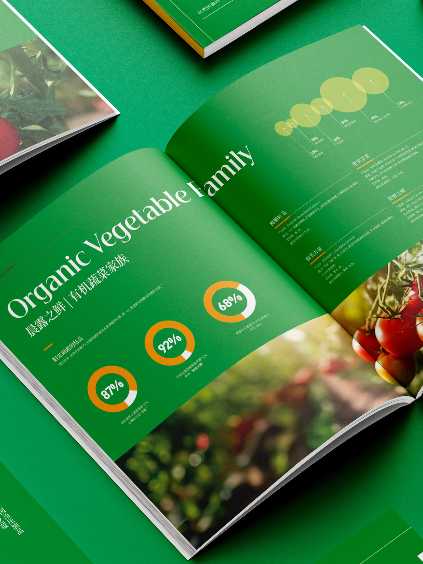 农业画册设计图3