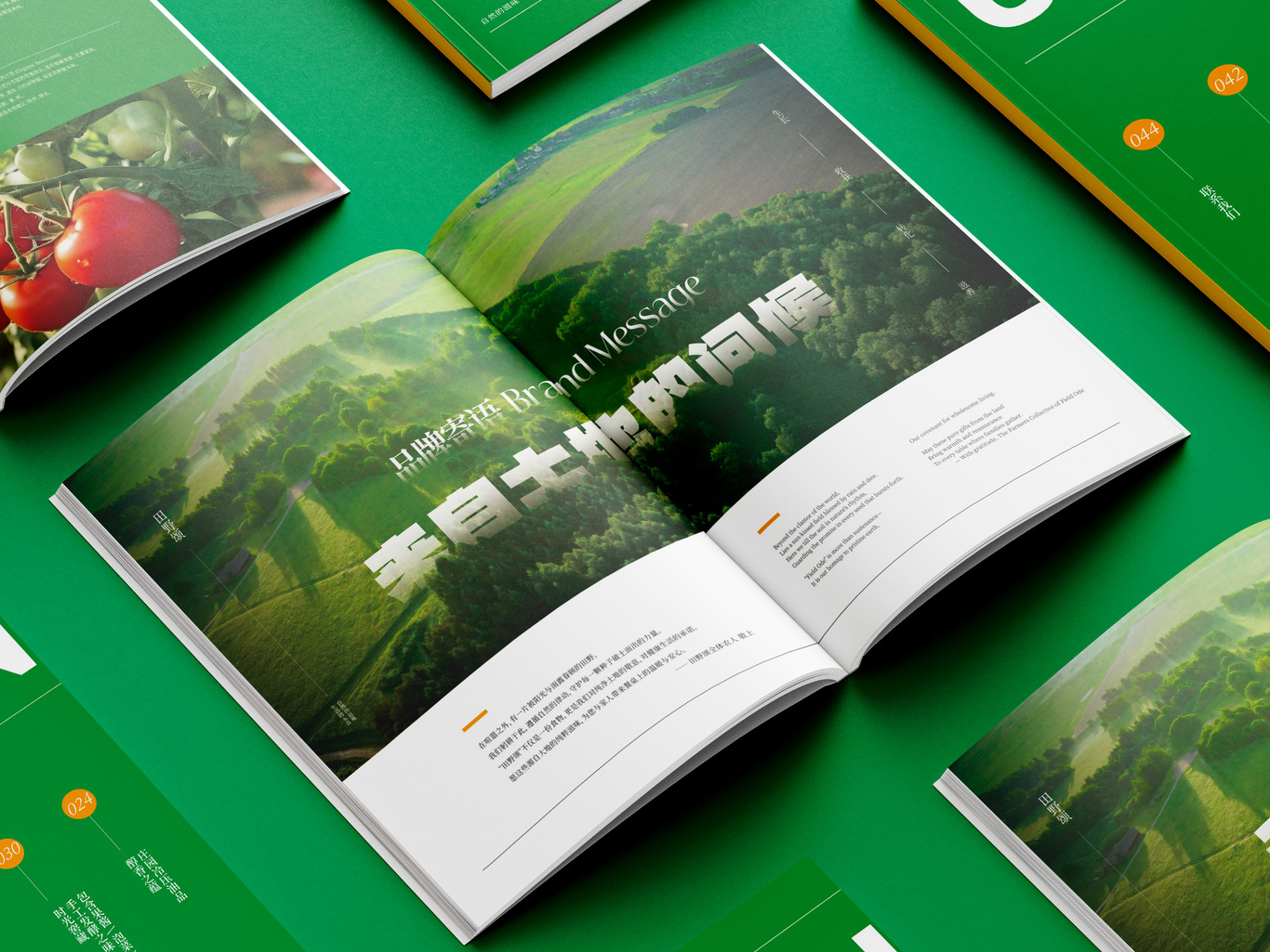 农业画册设计图4