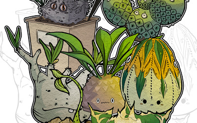 植物插畫