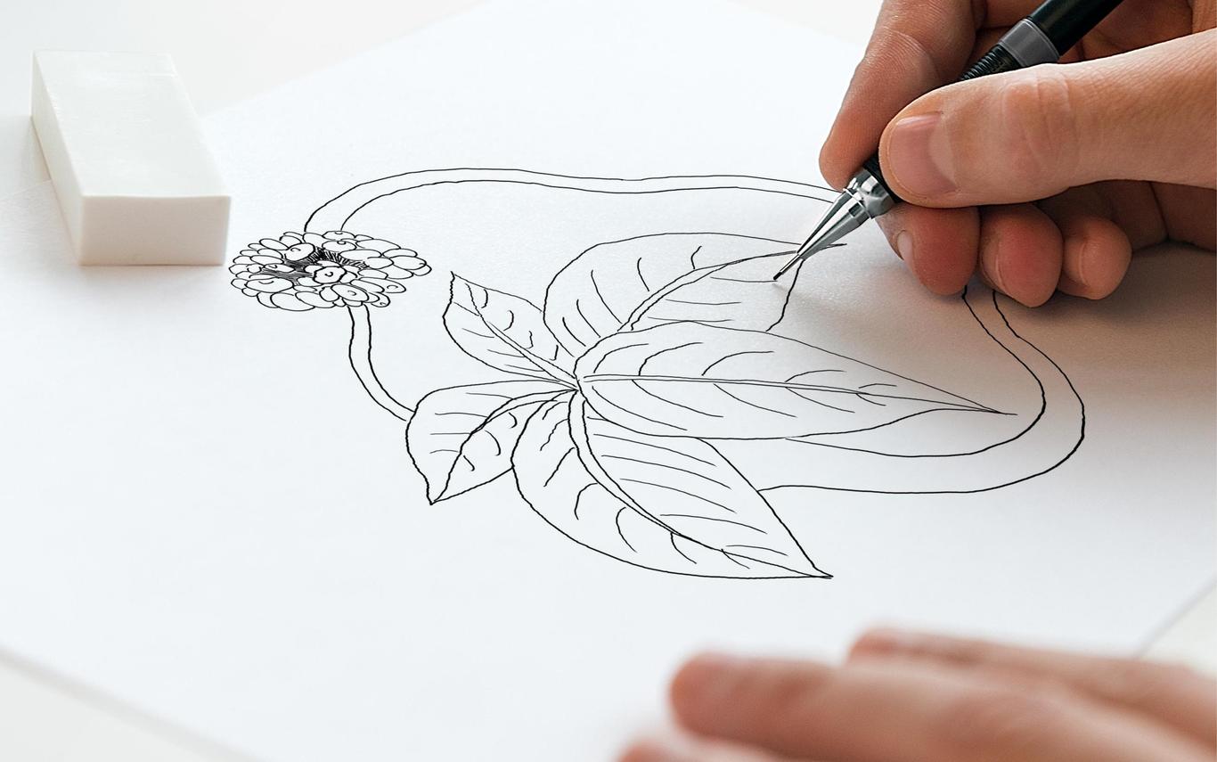 NUOHEALSE品牌LOGO+VI设计图2