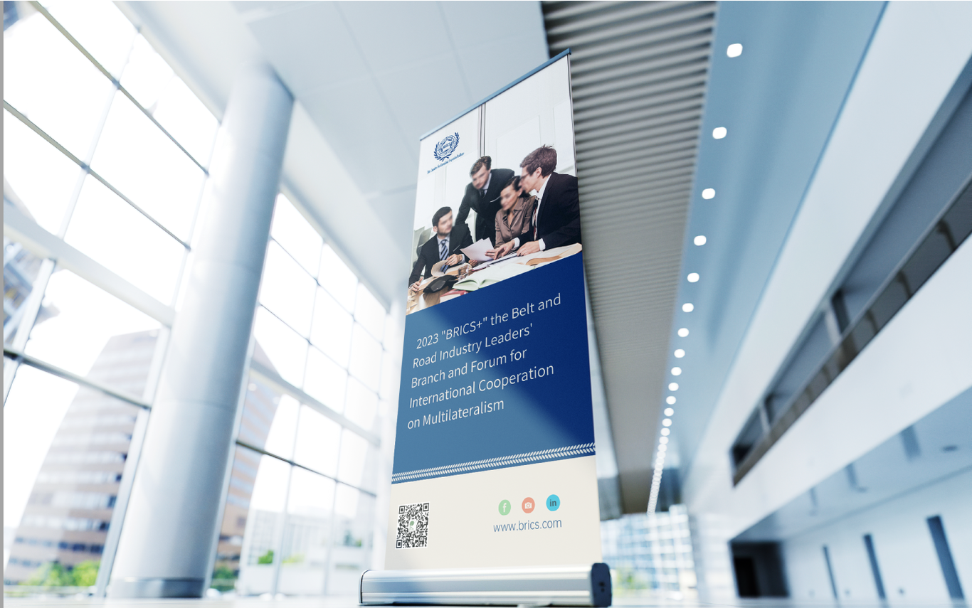 金砖国家健康医疗国际合作委员会品牌VI设计图10