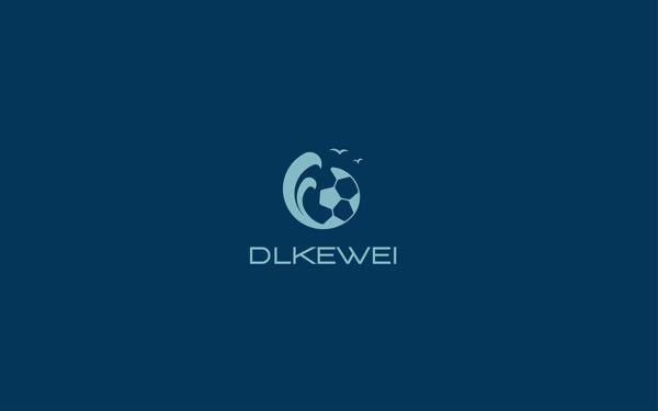 DLKEWEI品牌LOGO和VI设计