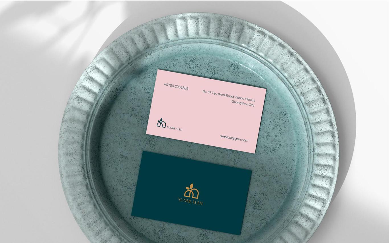 诺氧品牌logo+vi设计图13