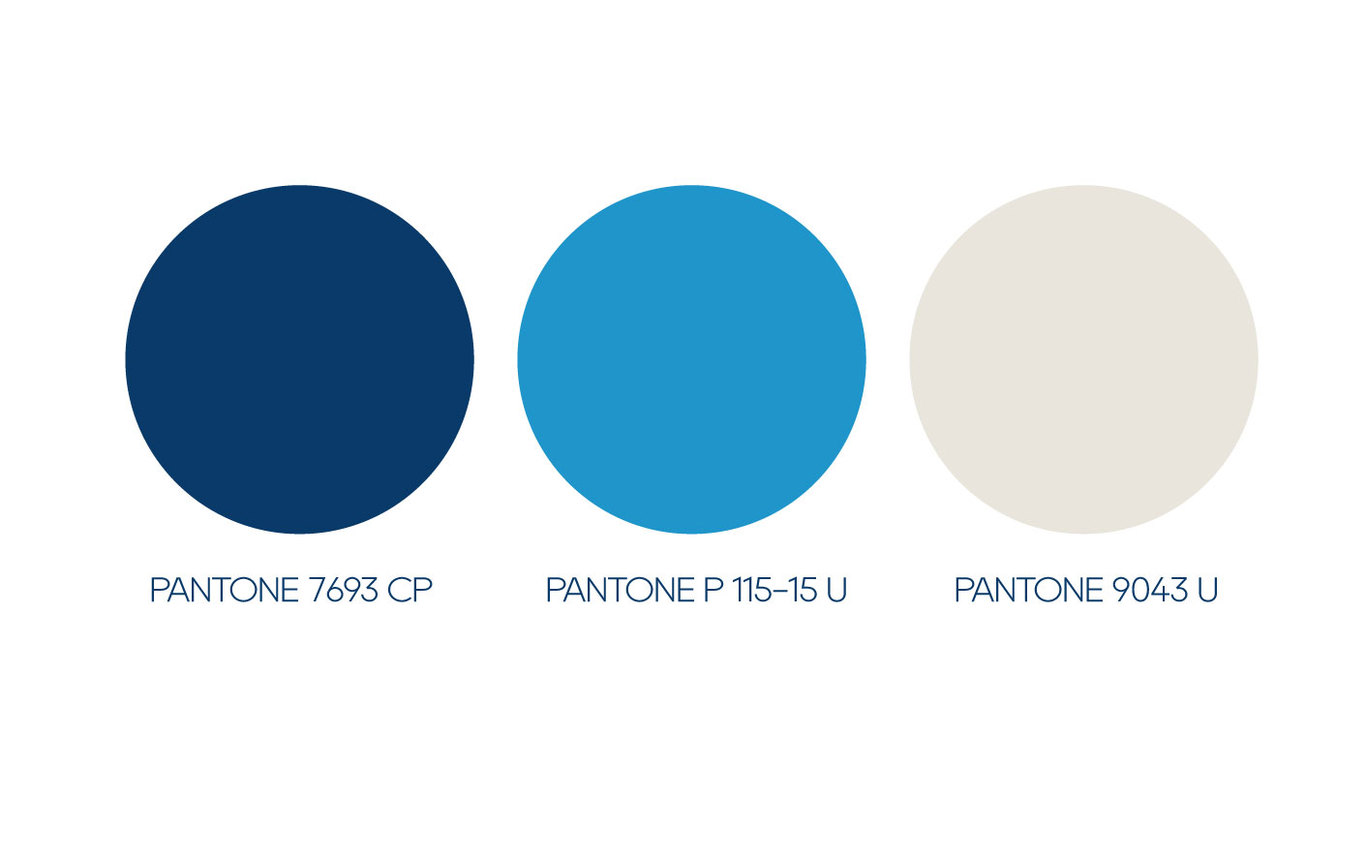 金砖国家健康医疗国际合作委员会品牌VI设计图2