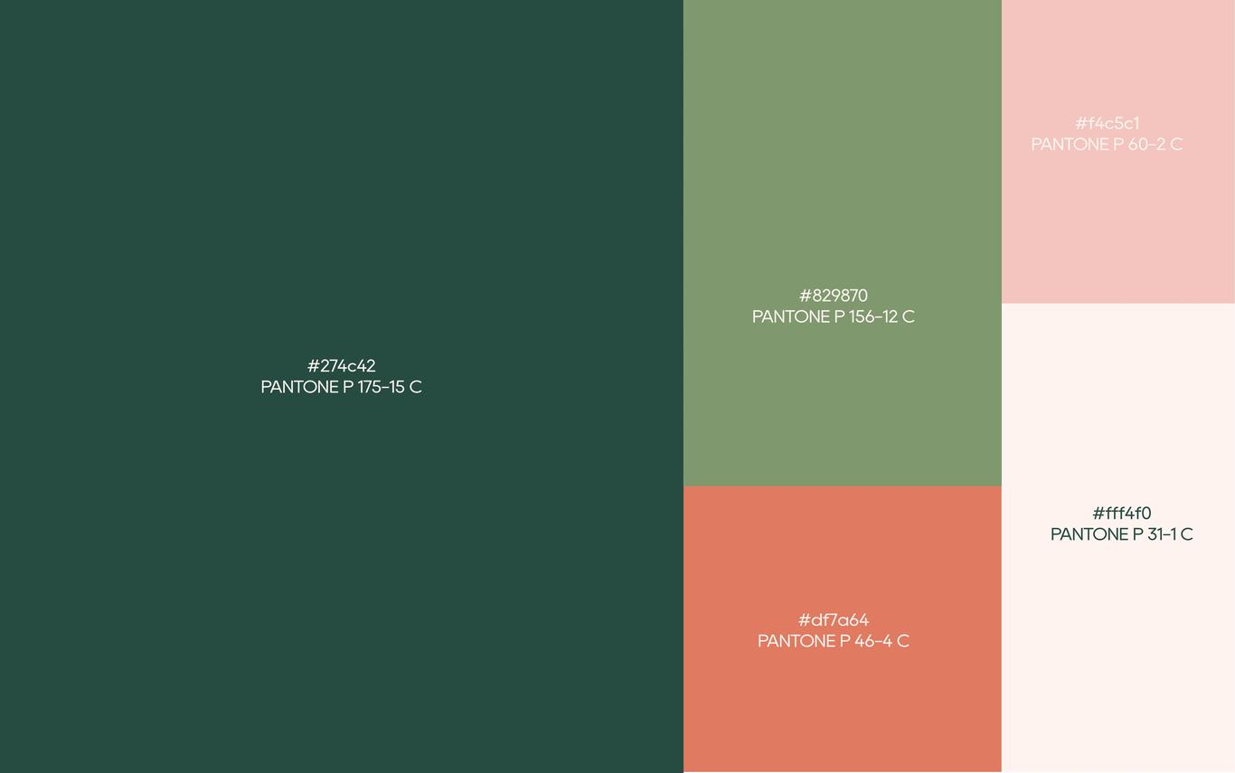 NUOHEALSE品牌LOGO+VI设计图17