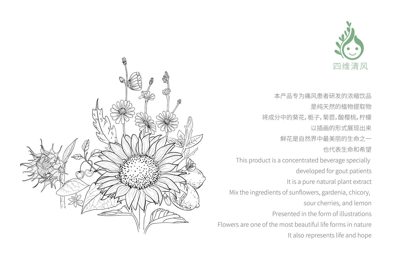 四维清风品牌LOGO+VI+插画+包装设计图8