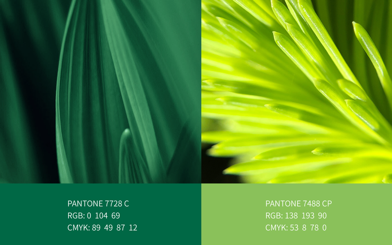 瑞析安低磷低钾乳清蛋白特膳粉包装设计图4