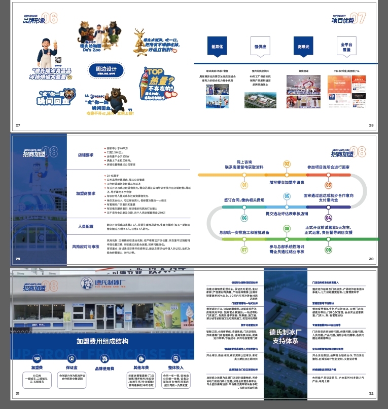 德氏制冰厂品牌手册设计图3