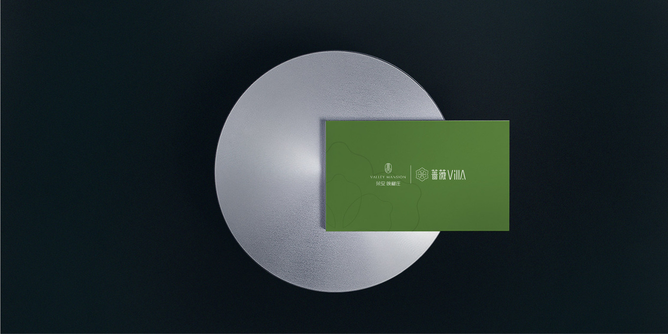VILLA别墅形象视觉图5