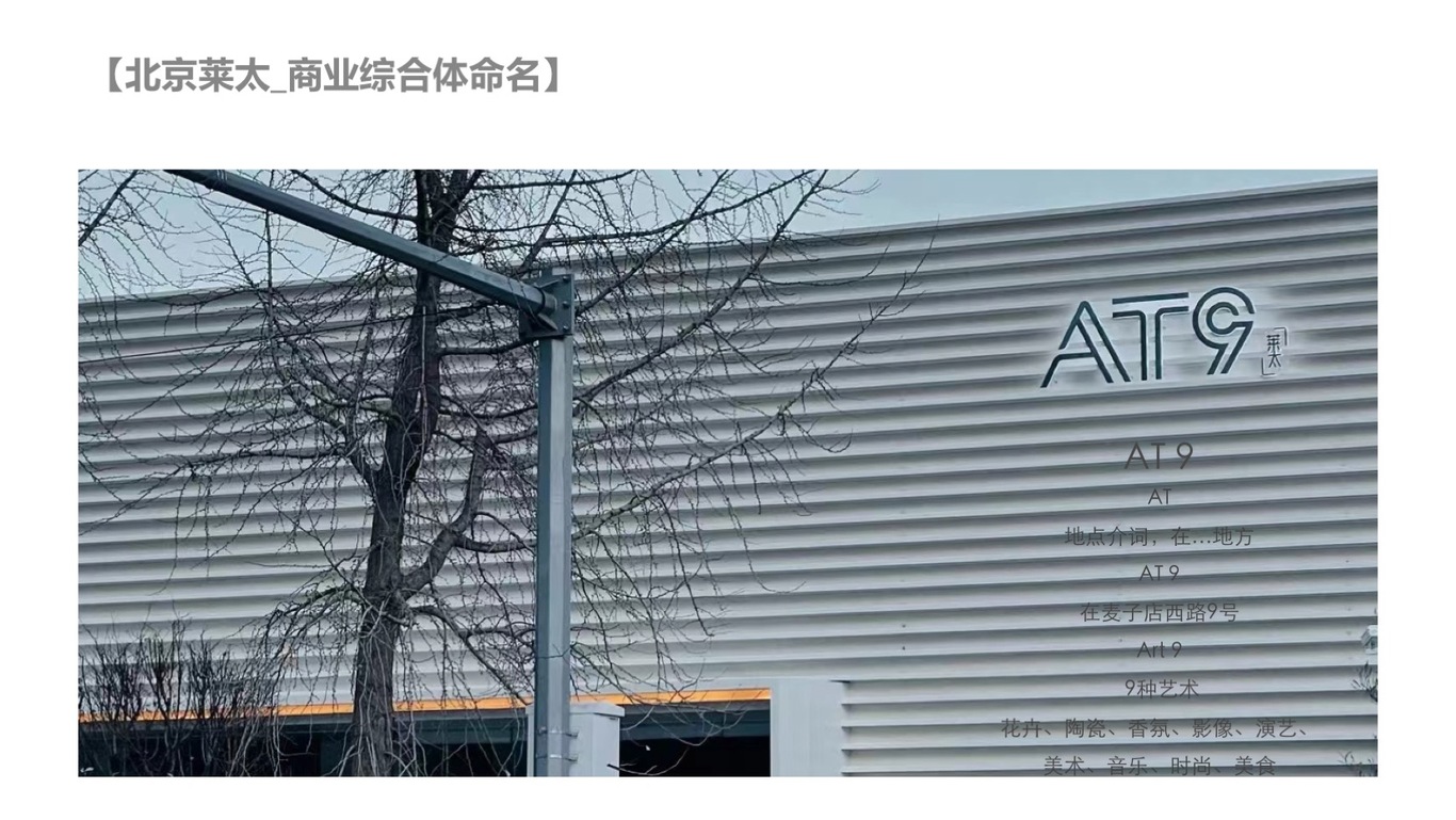 中英文命名作品集图1