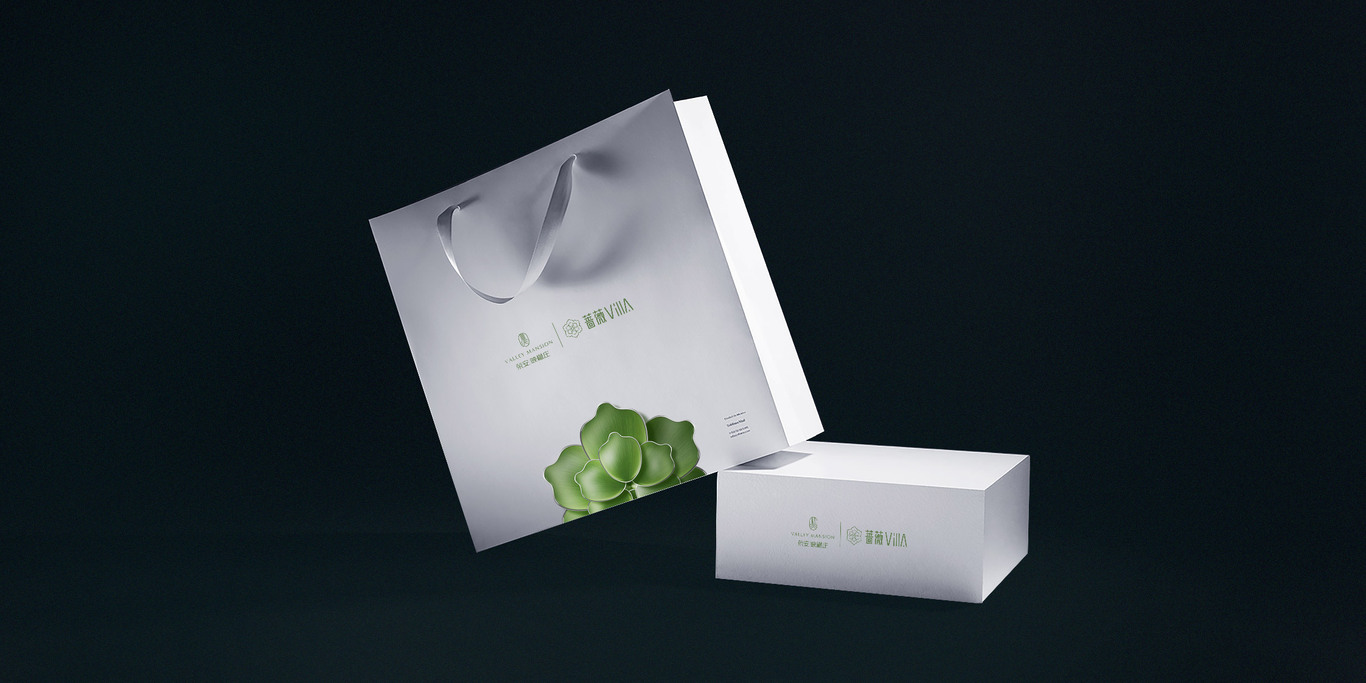 VILLA别墅形象视觉图6