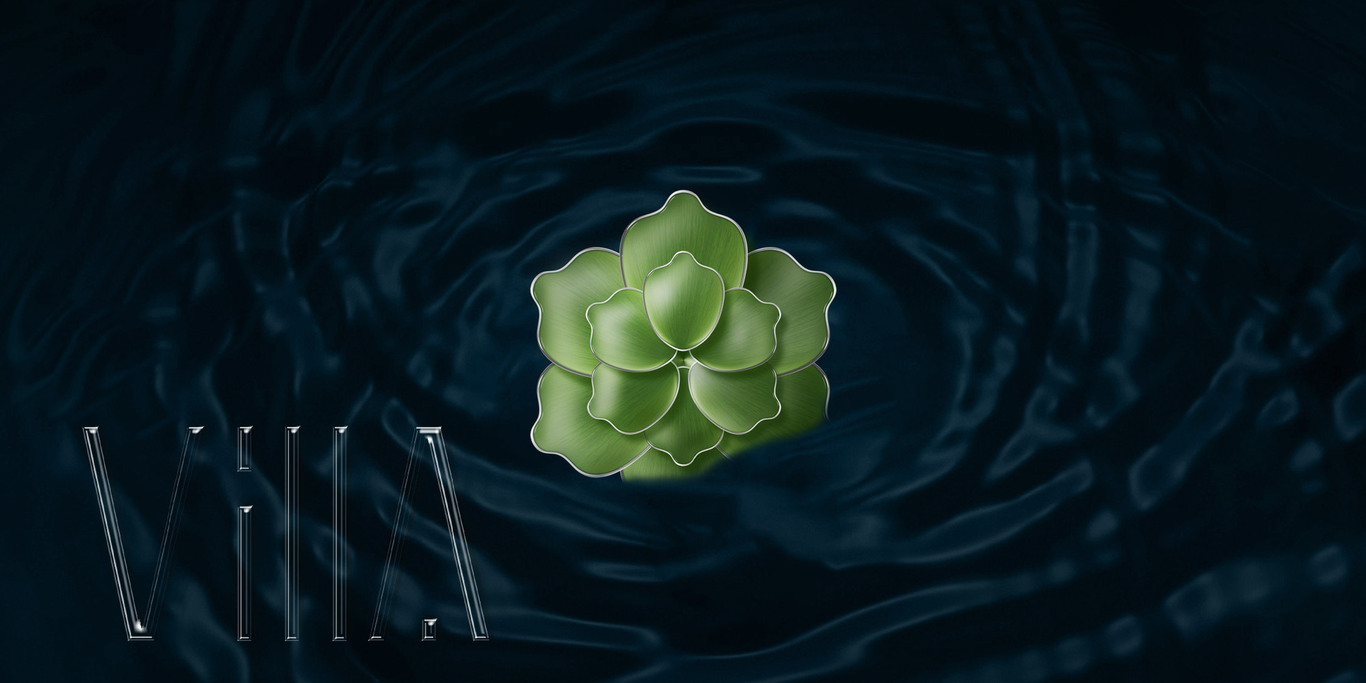 VILLA别墅形象视觉图3