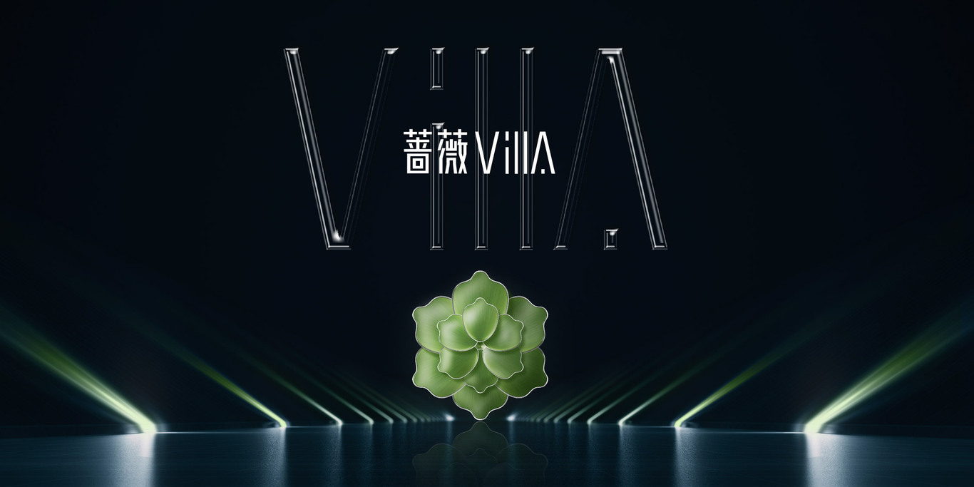 VILLA别墅形象视觉图2